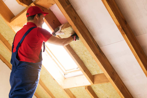 Types of Insulation We Offer in Antelope, CA